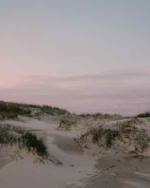 Abendstimmung in den Dünen