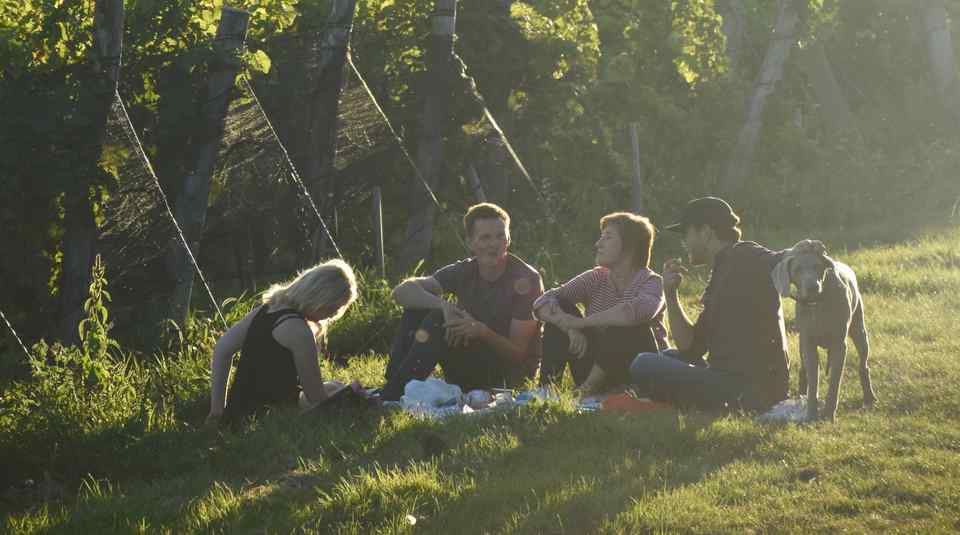 Fränkischer Rotweinwanderweg