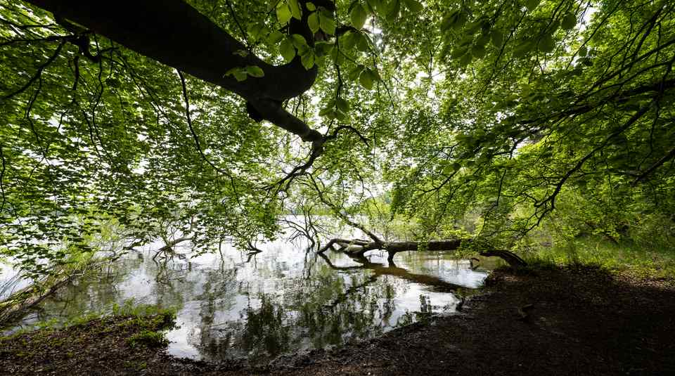 Holsteinische Schweiz