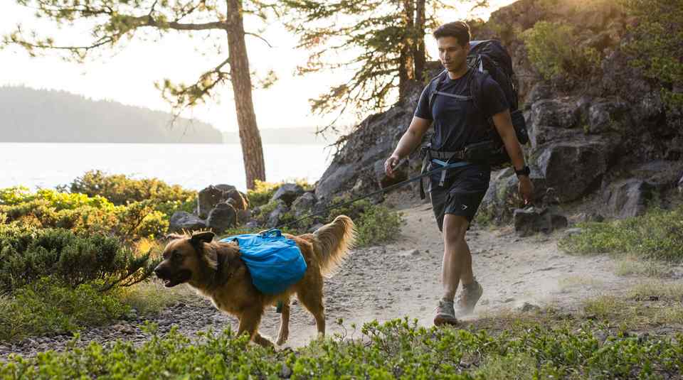 Hunderucksack auf Wanderung