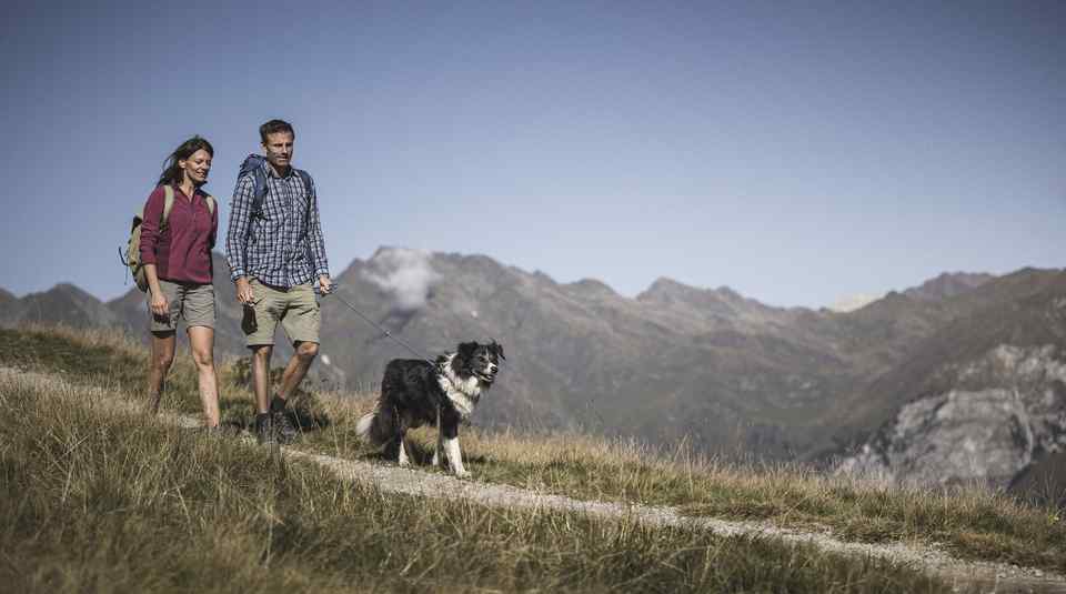 Ratschinger Almenweg