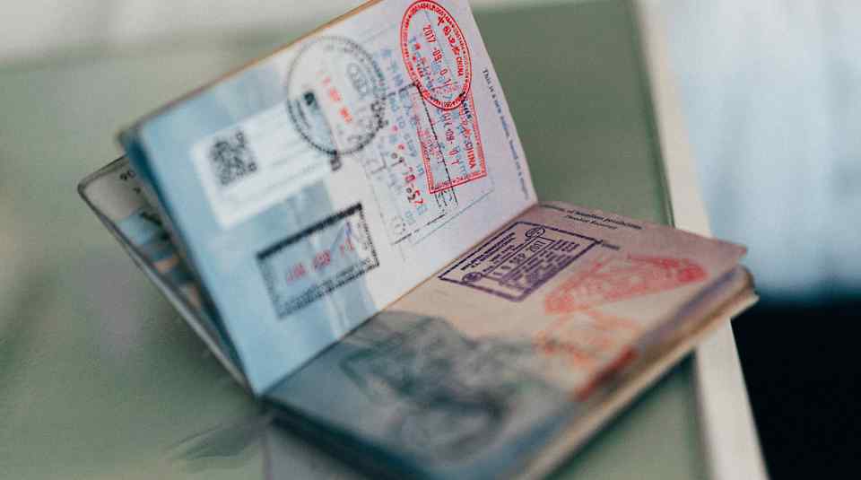 Reisepapiere mit dem Hund ins Ausland