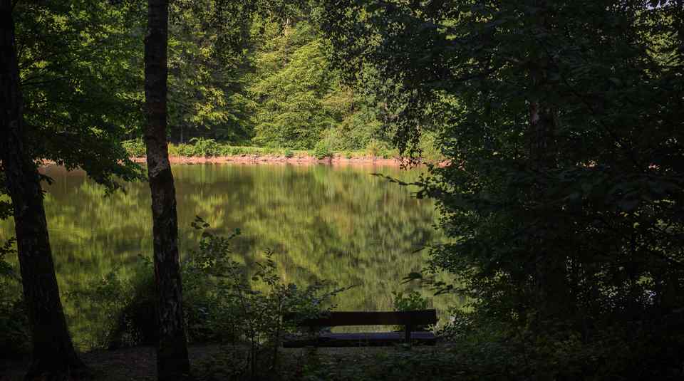 Spessartspur Wildromatische Hirschbornteiche