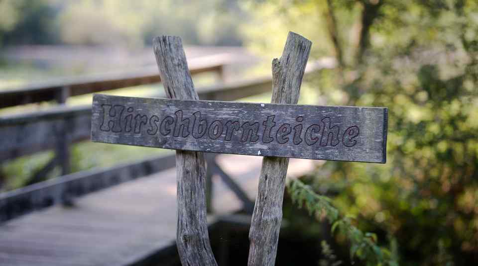Spessartspur Wildromatische Hirschbornteiche